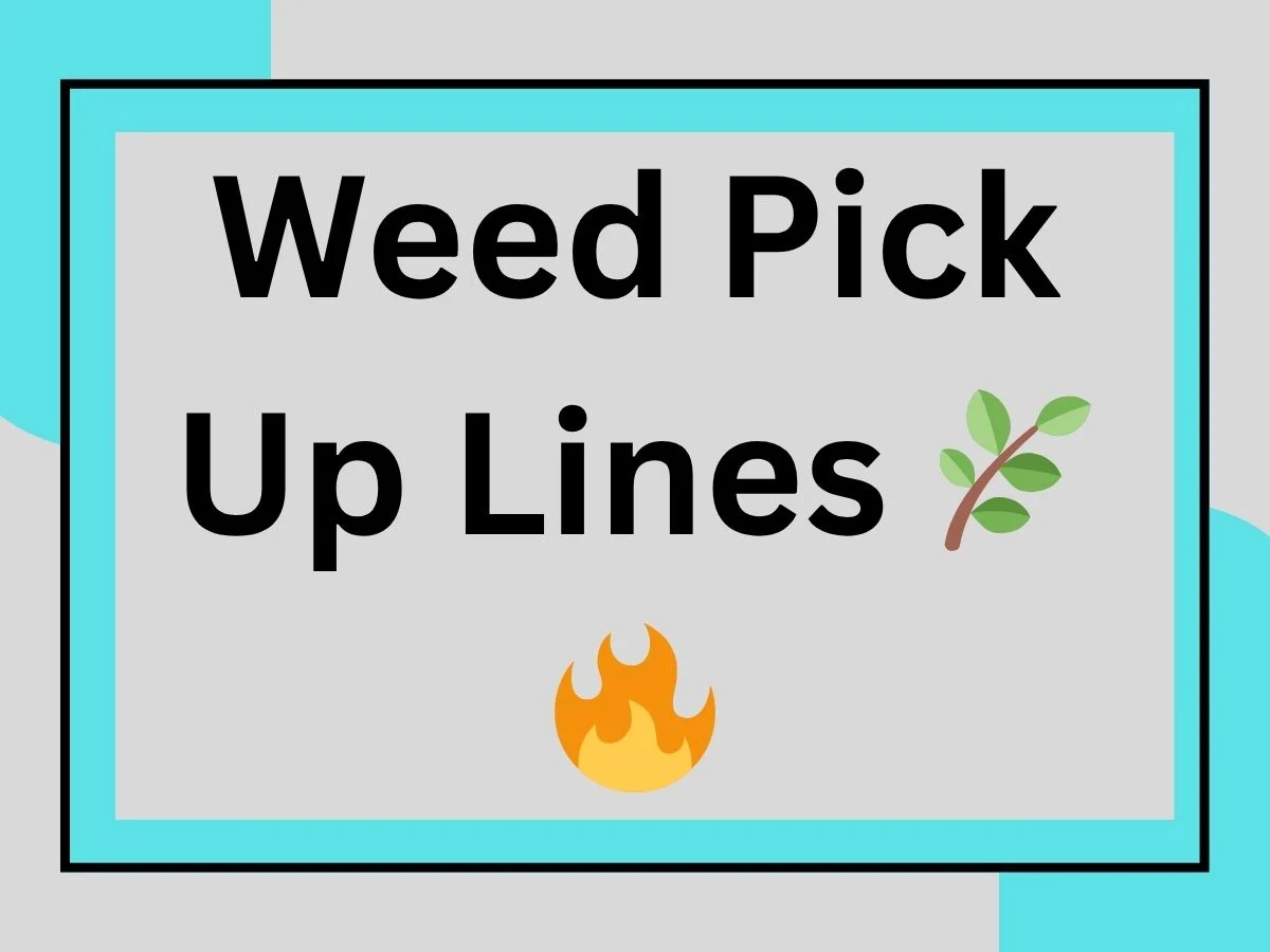 Read more about the article Weed Pick Up Lines 🌿🔥