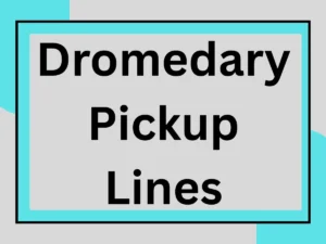 Read more about the article Dromedary Pickup Lines: Hilariously Fun Ways to Impress