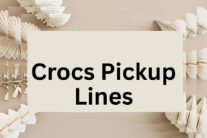 Read more about the article 313 Crocs Pickup Lines for impressing your love