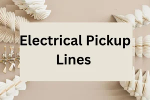 Read more about the article 313 Electrical Pickup Lines for impress him or her with my affairs