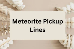 Read more about the article 313 Meteorite Pickup Lines for impress her or him 2026