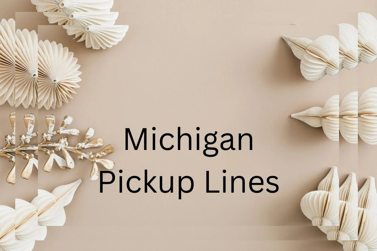 You are currently viewing 313 Michigan Pickup Lines for your crush in 2026