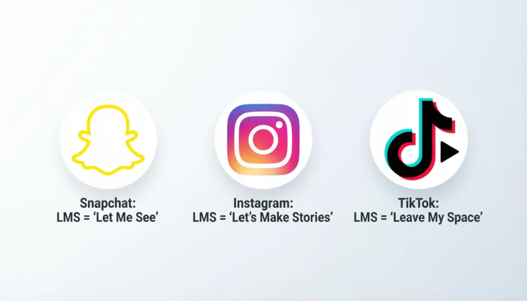 LMS Meaning in Text on Snapchat, Instagram, and TikTok